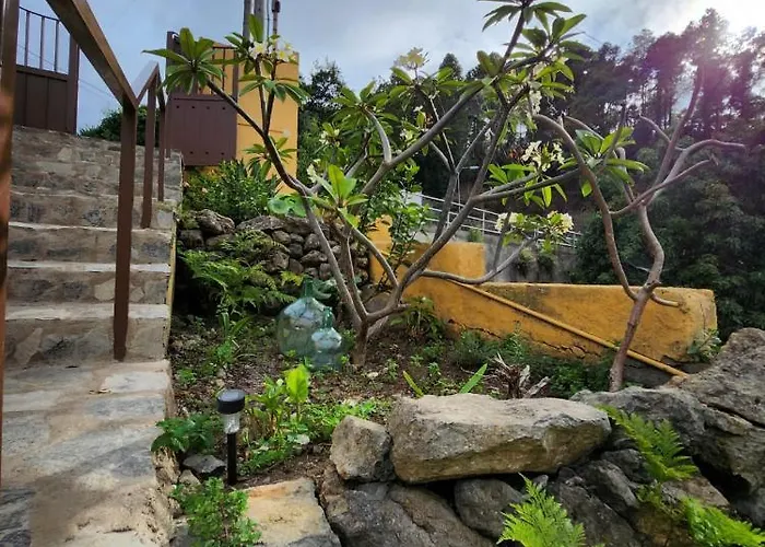 度假居 Vv Casa Muya 伊科德·德·洛斯·维诺斯